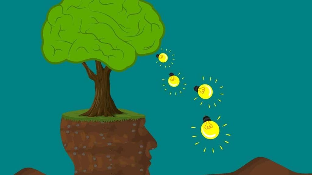 Are Food Stamps Federal Or State? Unraveling the Funding and Administration of SNAP